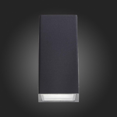 Светильник настенный ST-Luce SL088.421.02