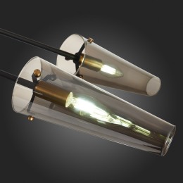 Люстра на штанге ST Luce Morave SL1209.302.06