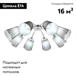 Потолочная люстра EVOLUCE MALEONTE SLE103002-08