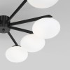 Потолочная люстра Eurosvet Opaline 70220/8 черный Smart a065767