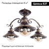 Потолочная люстра Arte Lamp 7 A4577PL-3CK