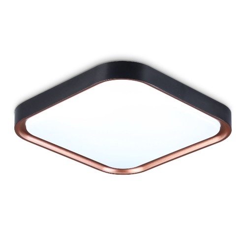 Потолочный светильник Ambrella Light Orbital Air FZ1271