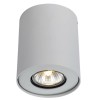 Потолочный светильник Arte Lamp Falcon A5633PL-1WH
