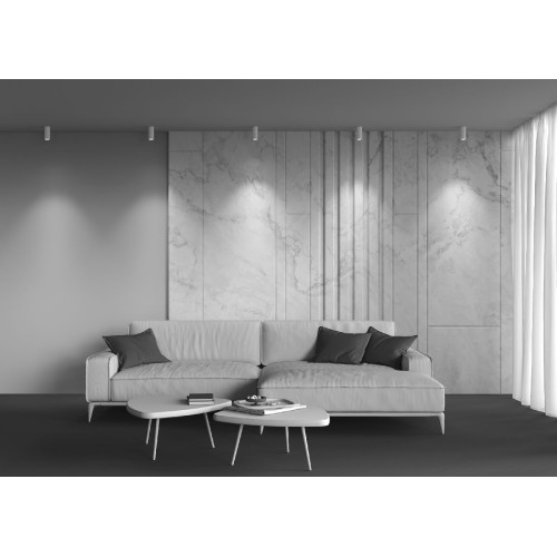 Накладной светильник Maytoni Focus LED C056CL-L12W4K-W-W