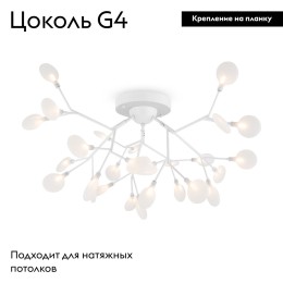 Потолочная люстра Freya Florencia FR5049CL-27W2