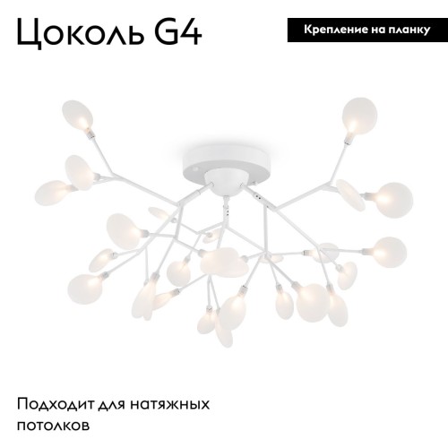 Потолочная люстра Freya Florencia FR5049CL-27W2