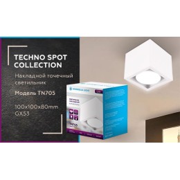 Потолочный светильник Ambrella Light Techno Spot TN705