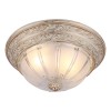 Потолочный светильник Arte Lamp Piatti A8014PL-2WA