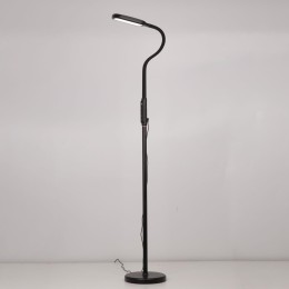 Торшер Citilux CL804021