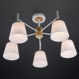 Потолочная люстра Eurosvet Fresco 70085/5 белый