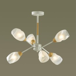 Потолочная люстра Lumion County 5210/6C