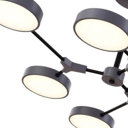 Потолочный светильник Evoluce Monta SLE6003-702-06