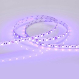 Светодиодная лента Arlight RT 2-5000 12V Blue 2x (5060, 300 LED, LUX) 012336