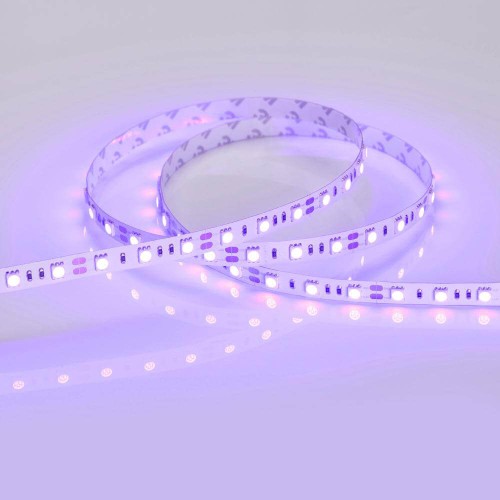 Светодиодная лента Arlight RT 2-5000 12V Blue 2x (5060, 300 LED, LUX) 012336