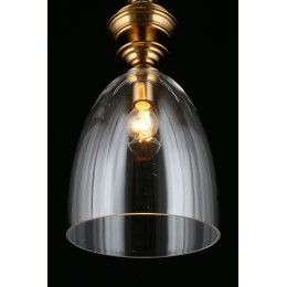 Подвесной светильник APLOYT RENA APL.602.16.01