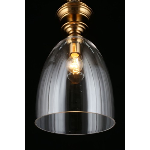 Подвесной светильник APLOYT RENA APL.602.16.01