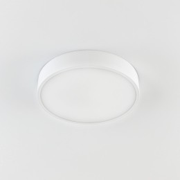 Потолочный светильник Citilux Купер CL72424V0