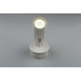 Бра Aployt Rein APL.004.01.01