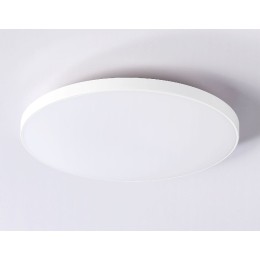 Потолочный светильник Ambrella Light Orbital FZ1221