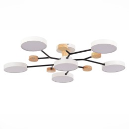 Люстра на штанге Evoluce Faema SLE6006-502-06