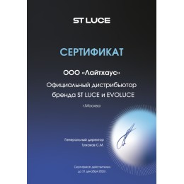 Потолочный светильник Evoluce Monta SLE6003-702-06