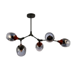 Потолочный светильник EVOLUCE CIOTOLLA SLE113402-05