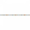 Светодиодная лента Arlight 7,2W/m 60LED/m 2835SMD дневной белый 5M 015697(2)