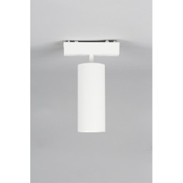 Трековый магнитный светильник Aployt Magnetic track 48 APL.0114.10.18