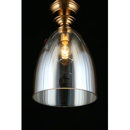 Подвесной светильник APLOYT RENA APL.602.06.01