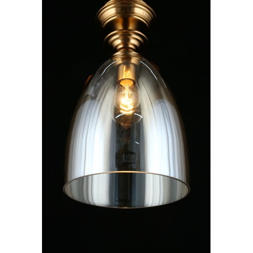 Подвесной светильник APLOYT RENA APL.602.06.01