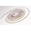 Светодиодная лента Arlight RT6-3528-180 24V Day White 3x (900 LED) 017418