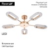 Потолочная люстра Arte Lamp Ovale A2489PL-5GO
