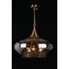 Подвесной светильник APLOYT Franko APL.601.16.03