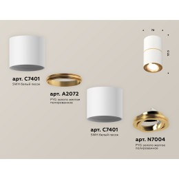 Потолочный светильник Ambrella Light Techno Spot XS7401200 (C7401, A2072, C7401, N7004)