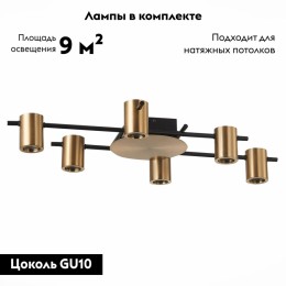 Потолочная люстра ST Luce Veroli SL1207.402.06