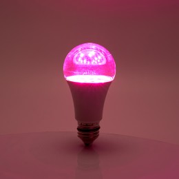 Лампа светодиодная для растений Feron LB-7061 E27 15W красно-синий спектр 38276