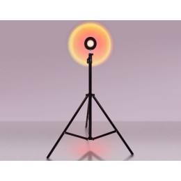 Настольная лампа Ambrella Light Desk DE8387