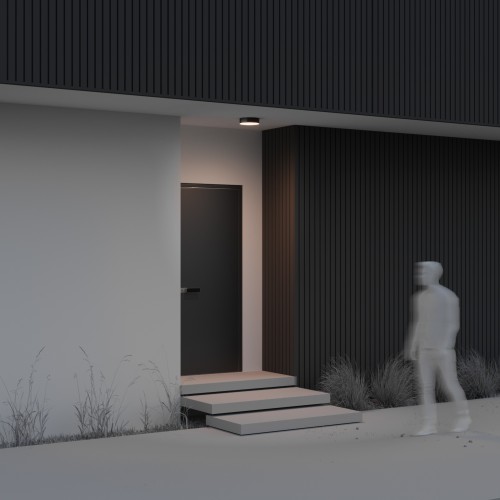 Уличный потолочный светильник Maytoni Zon IP O431CL-L30B3K