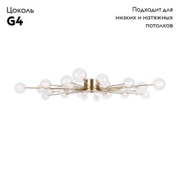 Потолочная люстра Freya Celebrity FR5242CL-24BS1