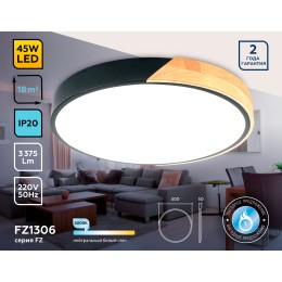 Потолочный светильник Ambrella Light Orbital Design FZ1306