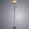 Торшер Arte Lamp Duetto A9569PN-2SI