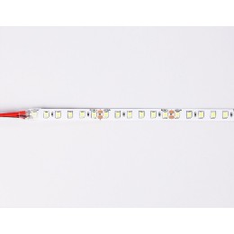 Светодиодная лента Ambrella Light LED Strip 24В 2835 10Вт/м 6500K 5м IP20 GS3103