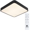 Потолочный светильник Arte Lamp A2663PL-1BK