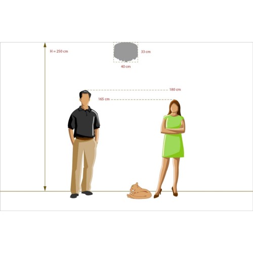 Потолочная люстра MW-Light Жаклин 465011305