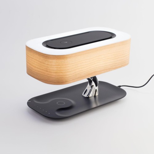 Настольная лампа Citilux Ньютон CL803042