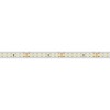 Светодиодная лента герметичная Arlight RTW-PS-A160-10mm 24V Day5000 (12 W/m, IP67, 2835, 50m) 024557(2)