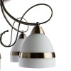 Потолочная люстра Arte Lamp 55 A6192PL-5AB