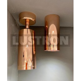 Потолочный светильник Maytoni Alfa C010CL-01RG