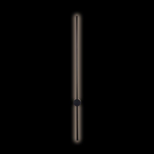 Настенный светодиодный светильник Loft IT Rays 10053BK