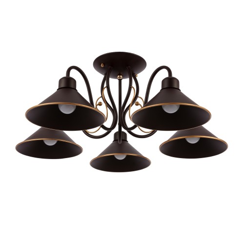 Потолочный светильник EVOLUCE CIOLLA SLE120402-05